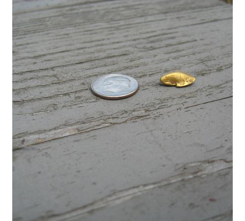 Металлоискатель Garrett AT Gold (амфибия)